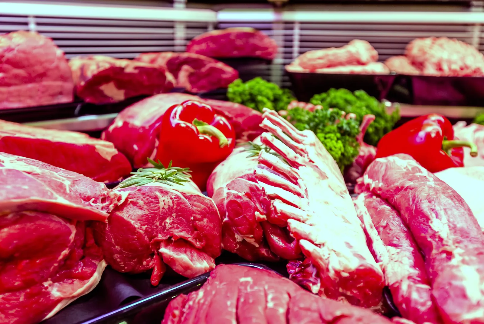 Vitrine des viandes de la Boucherie Milcamps : carré d'agneau, rôtis et pièces de bœuf
